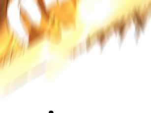 Chapter 30.5