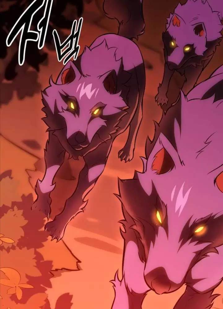Chapter 50