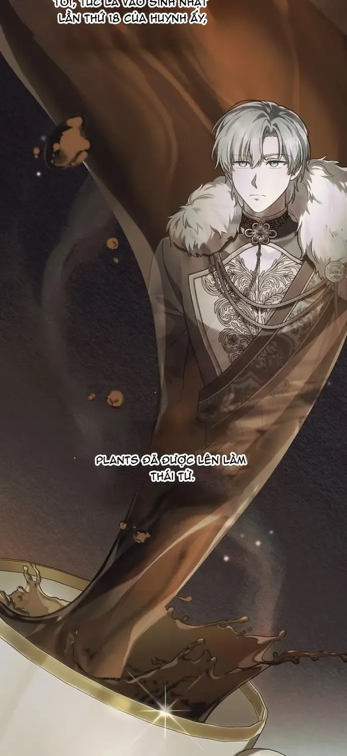 Chapter 95