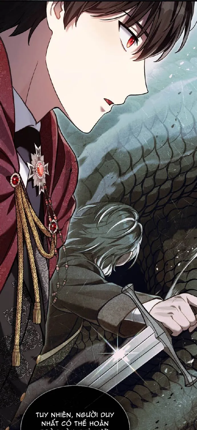 Chapter 104