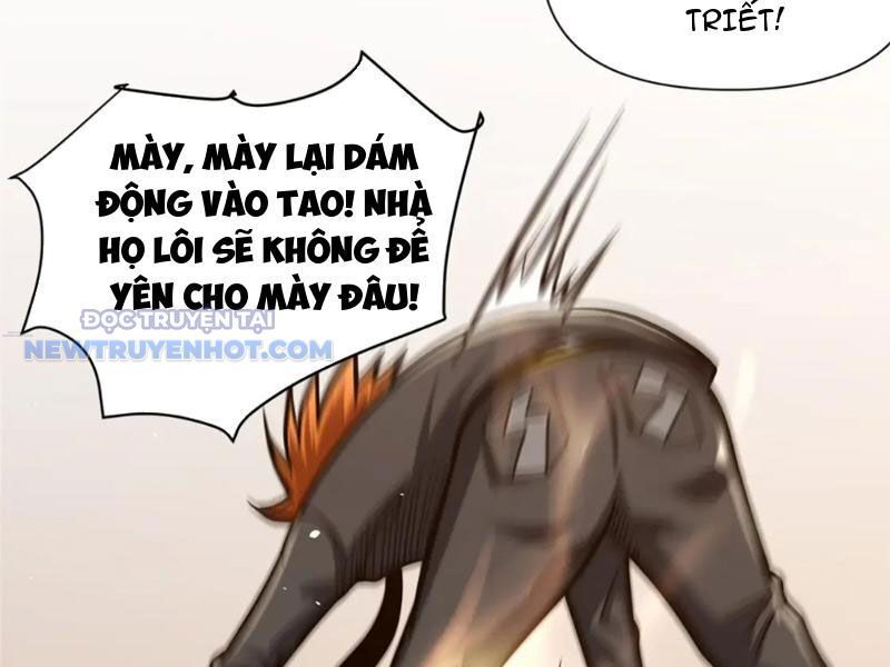 Chapter 117