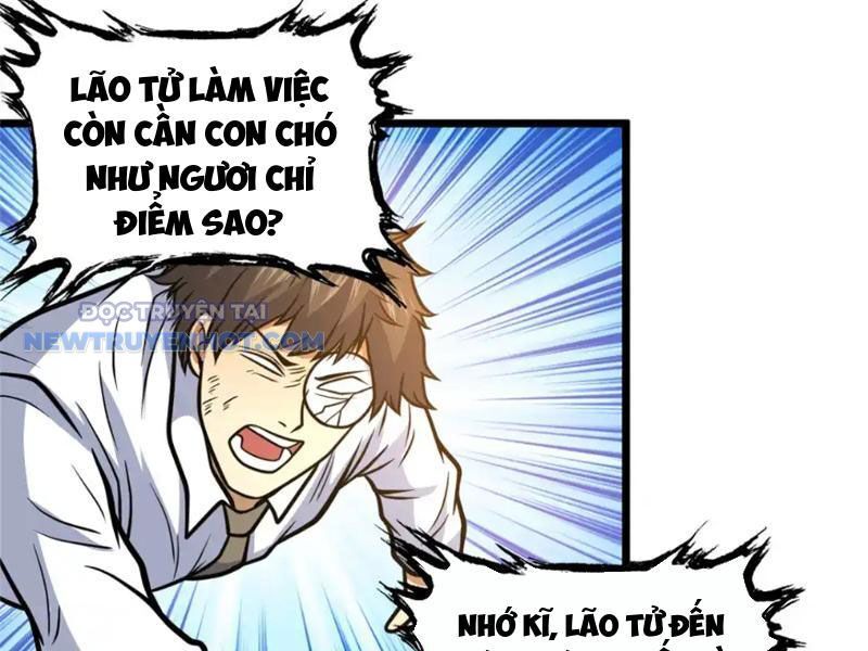 Chapter 163