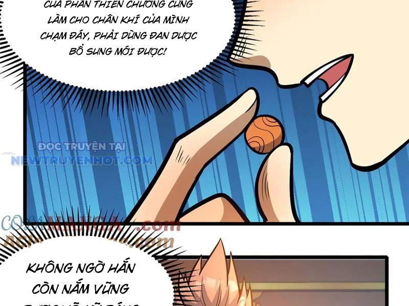 Chapter 199