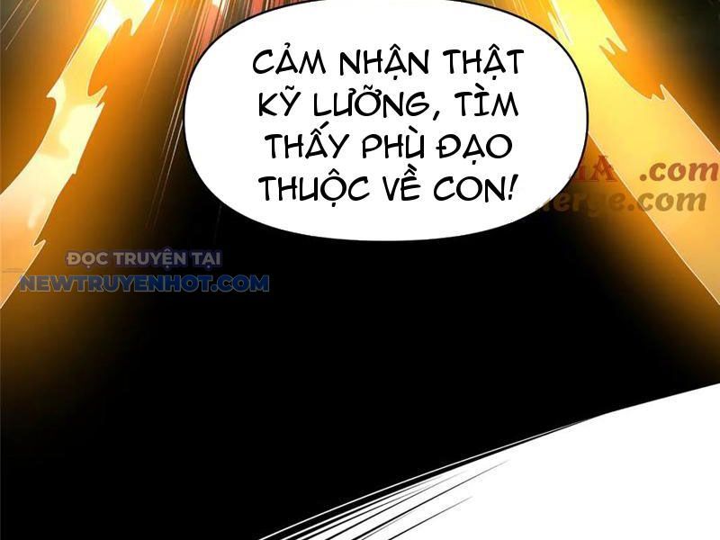 Chapter 204