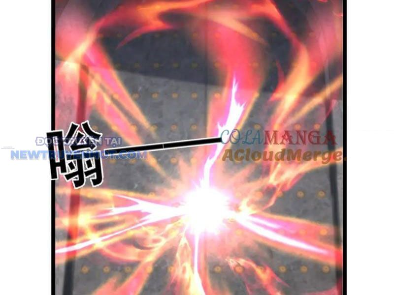 Chapter 209