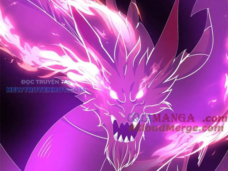Chapter 209