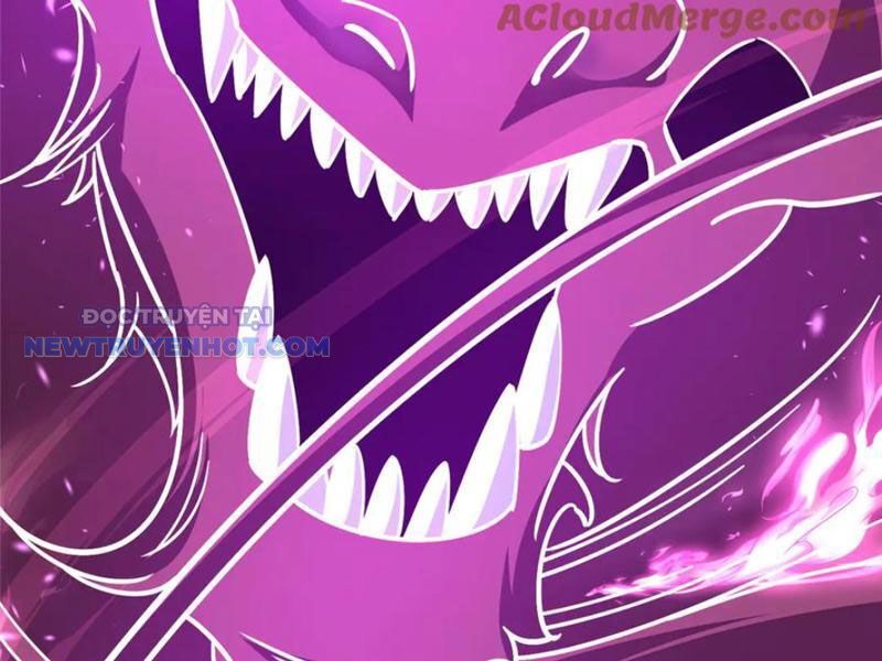 Chapter 209