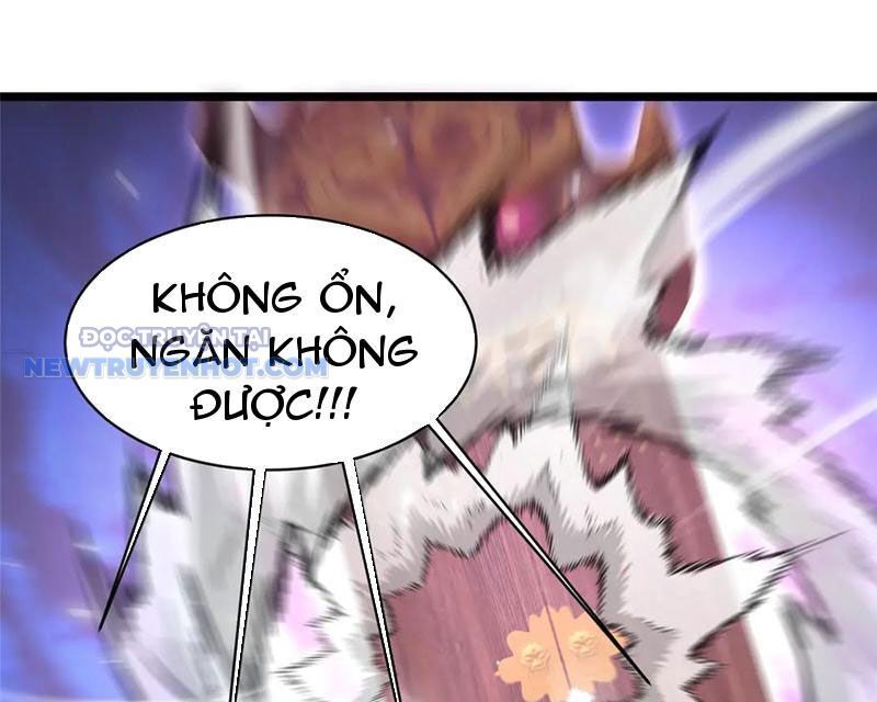 Chapter 210