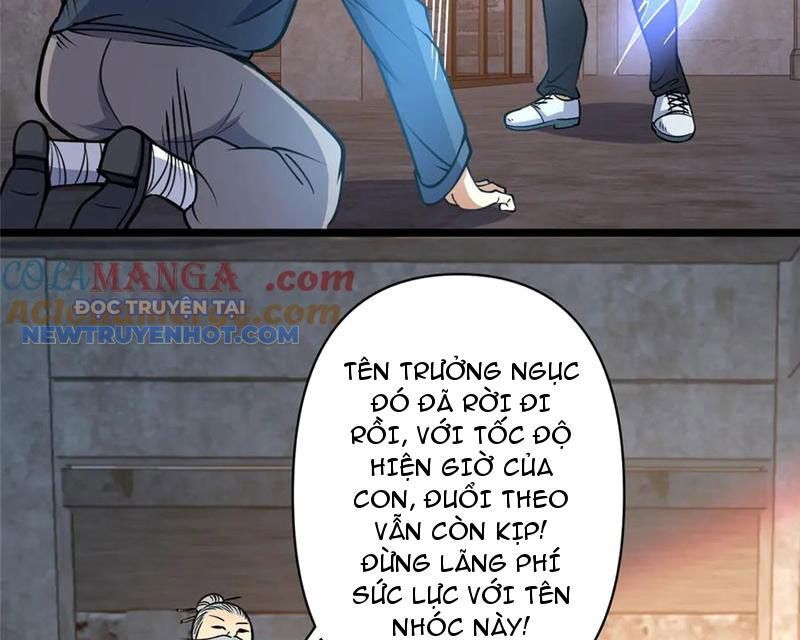 Chapter 212