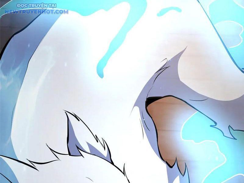 Chapter 215