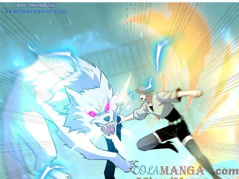Chapter 215