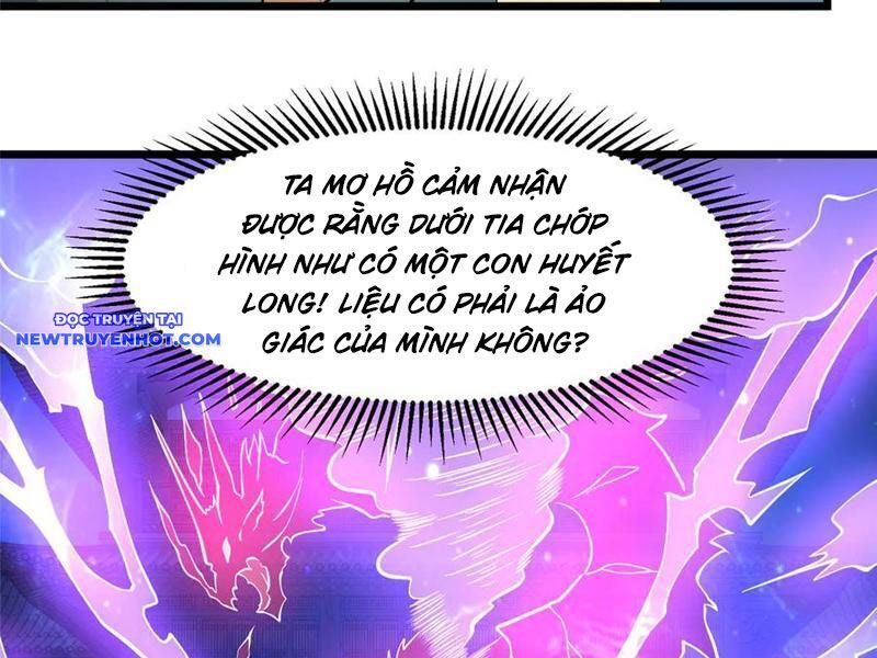 Chapter 217