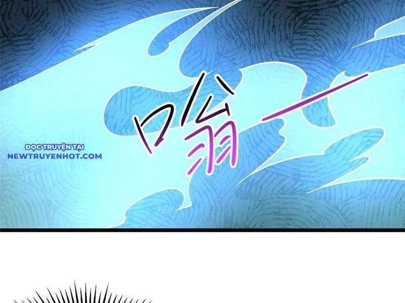 Chapter 217