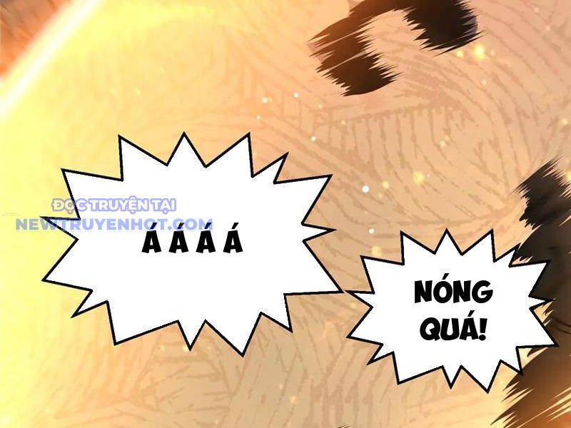 Chapter 221