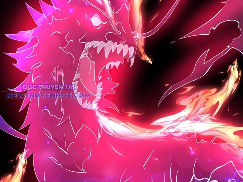 Chapter 223
