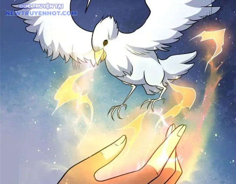 Chapter 225