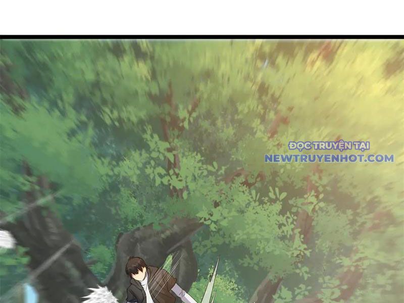 Chapter 228