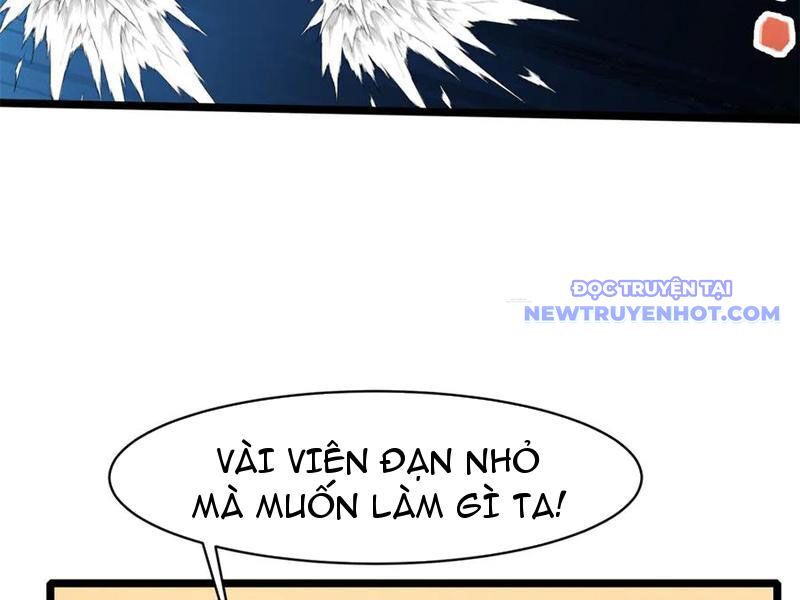 Chapter 228