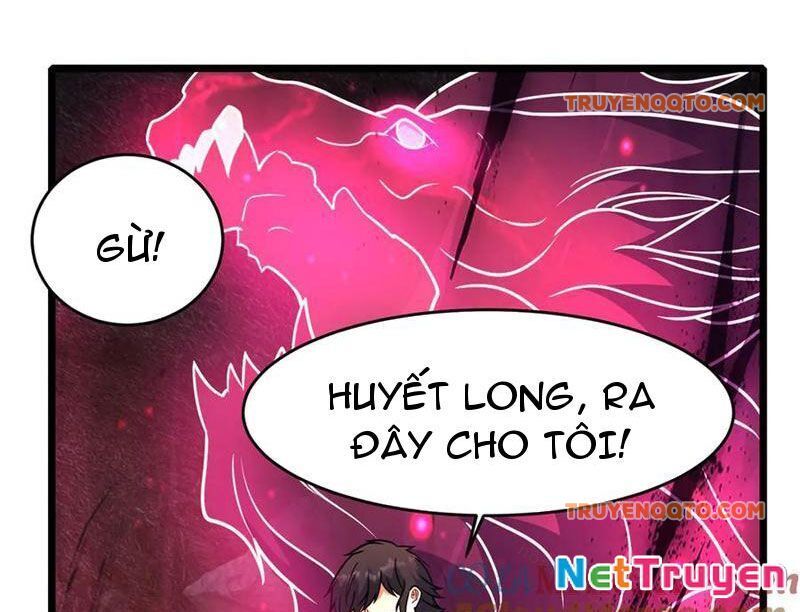 Chapter 236