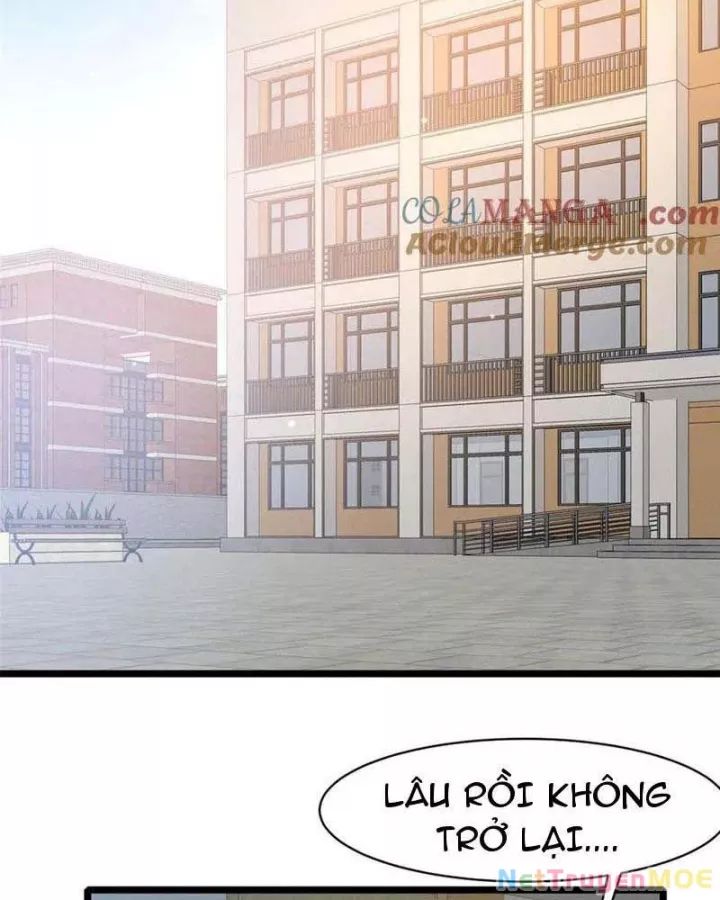 Chapter 240