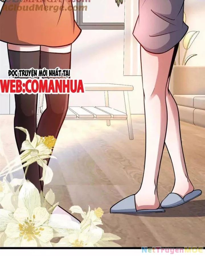 Chapter 240