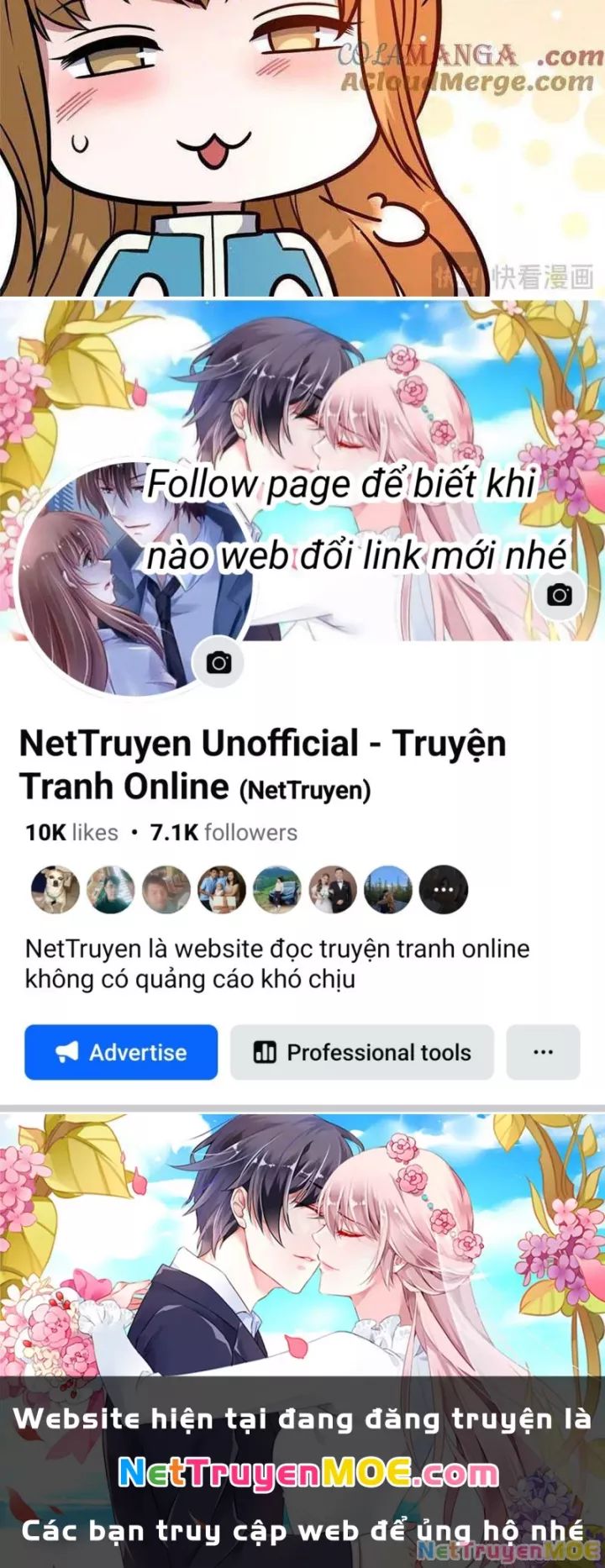 Chapter 240