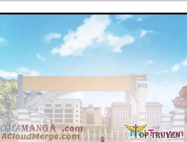 Chapter 244