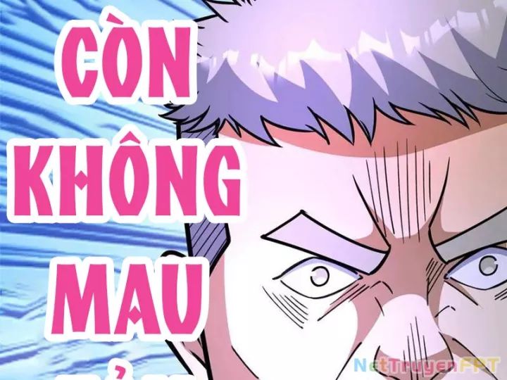Chapter 244