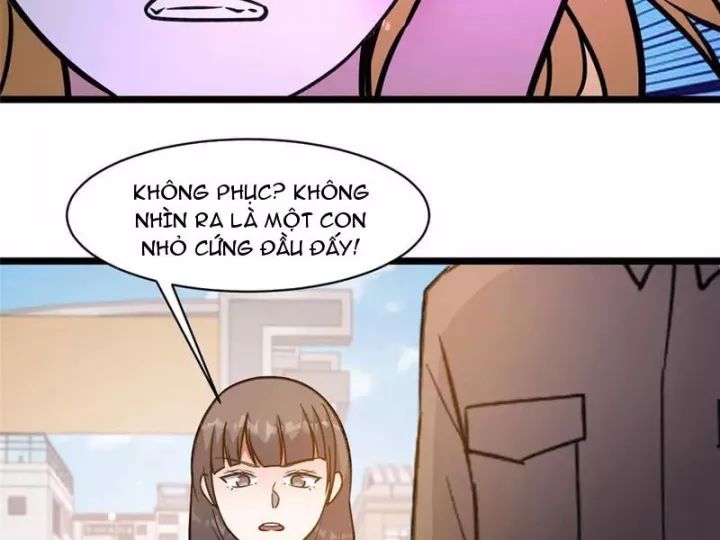Chapter 244