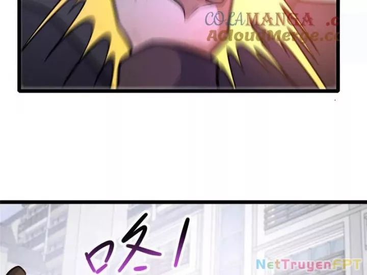 Chapter 244