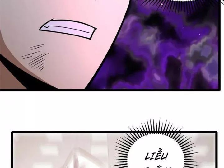 Chapter 244