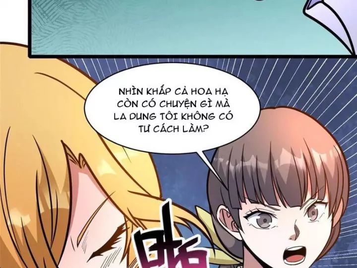 Chapter 244
