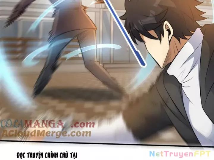 Chapter 244
