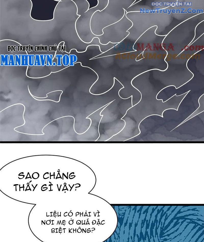 Chapter 246