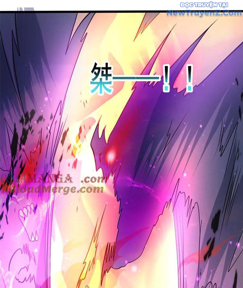 Chapter 246