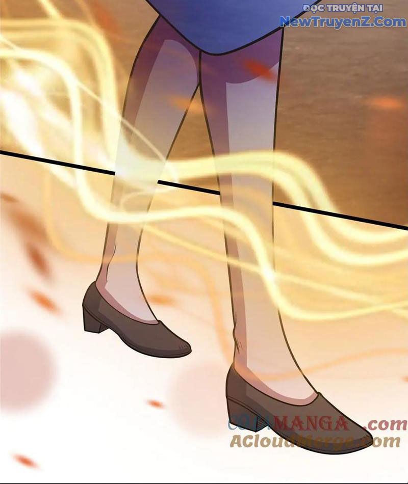 Chapter 246