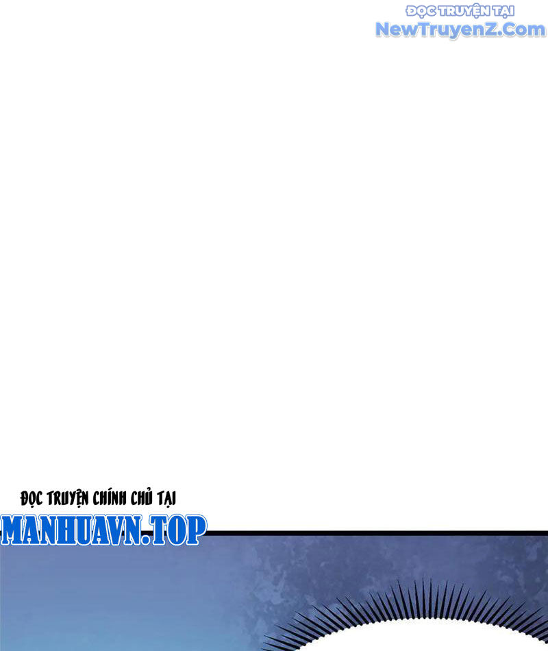 Chapter 246