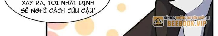 Chapter 252