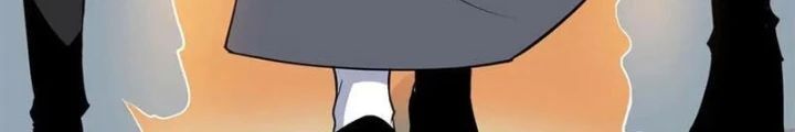 Chapter 252