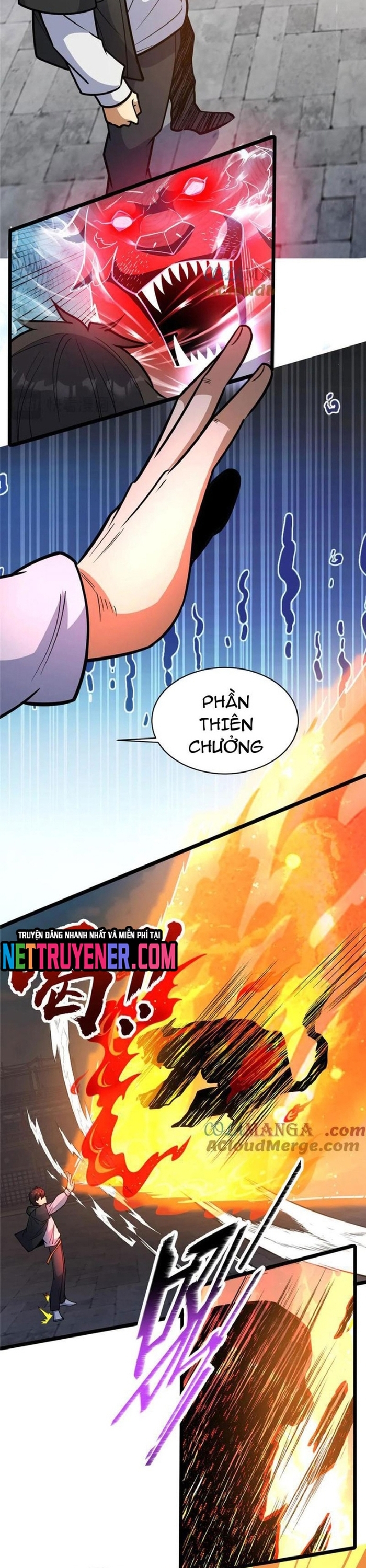 Chapter 253