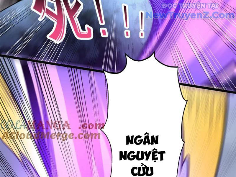Chapter 254