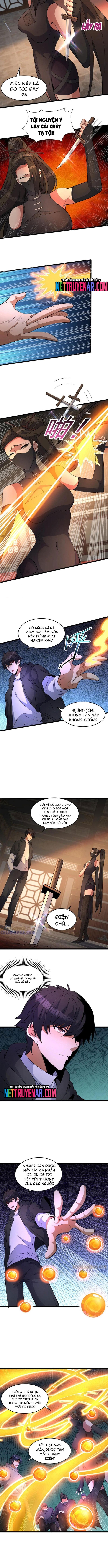 Chapter 278