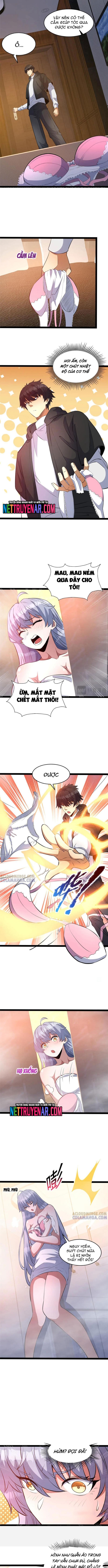 Chapter 278