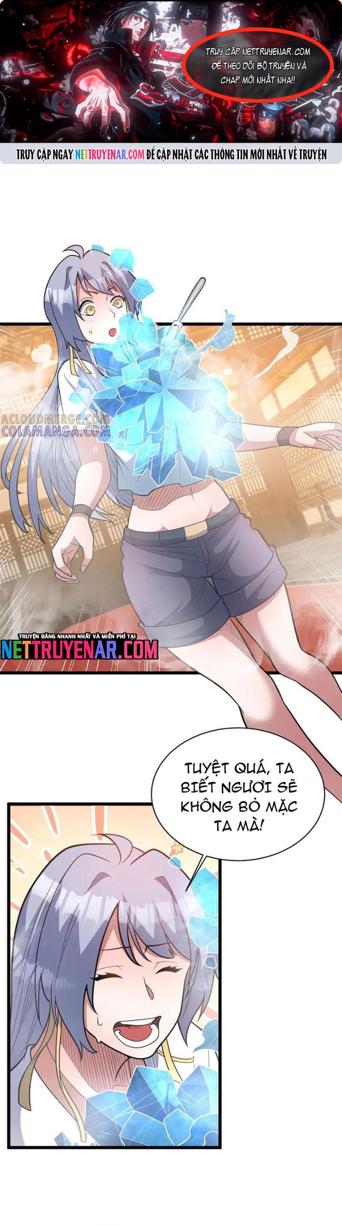 Chapter 288