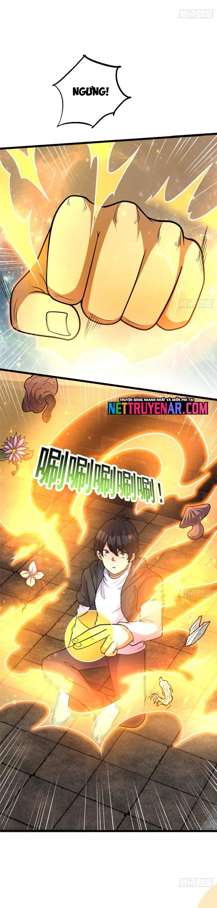 Chapter 290