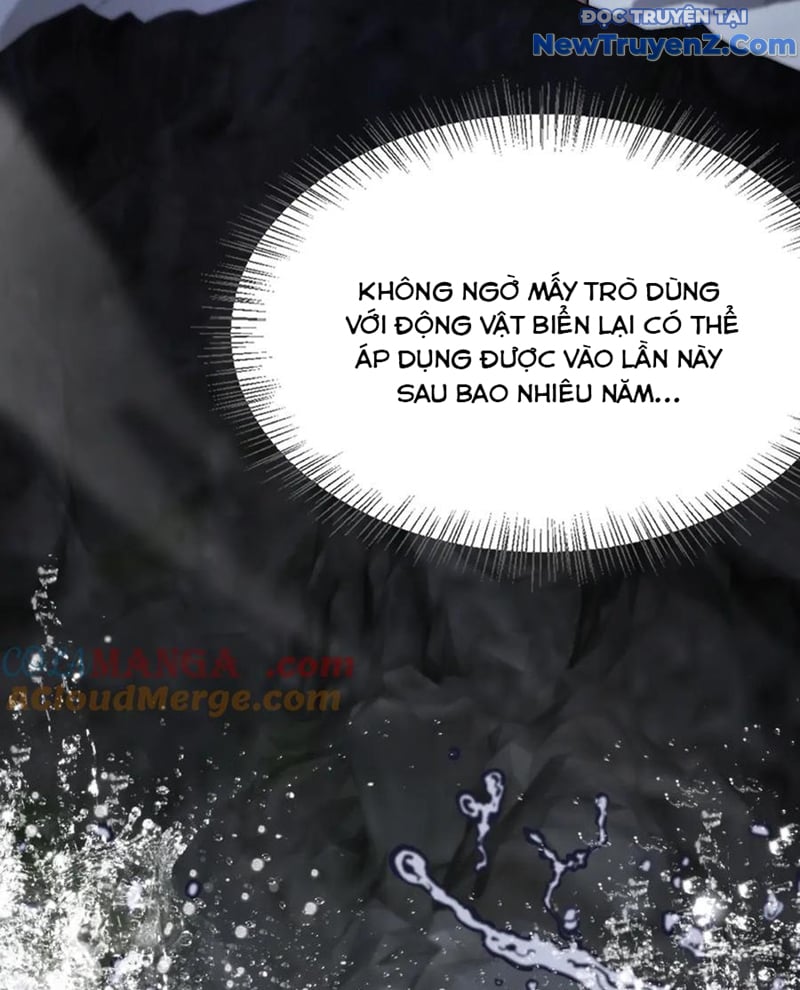 Chapter 181