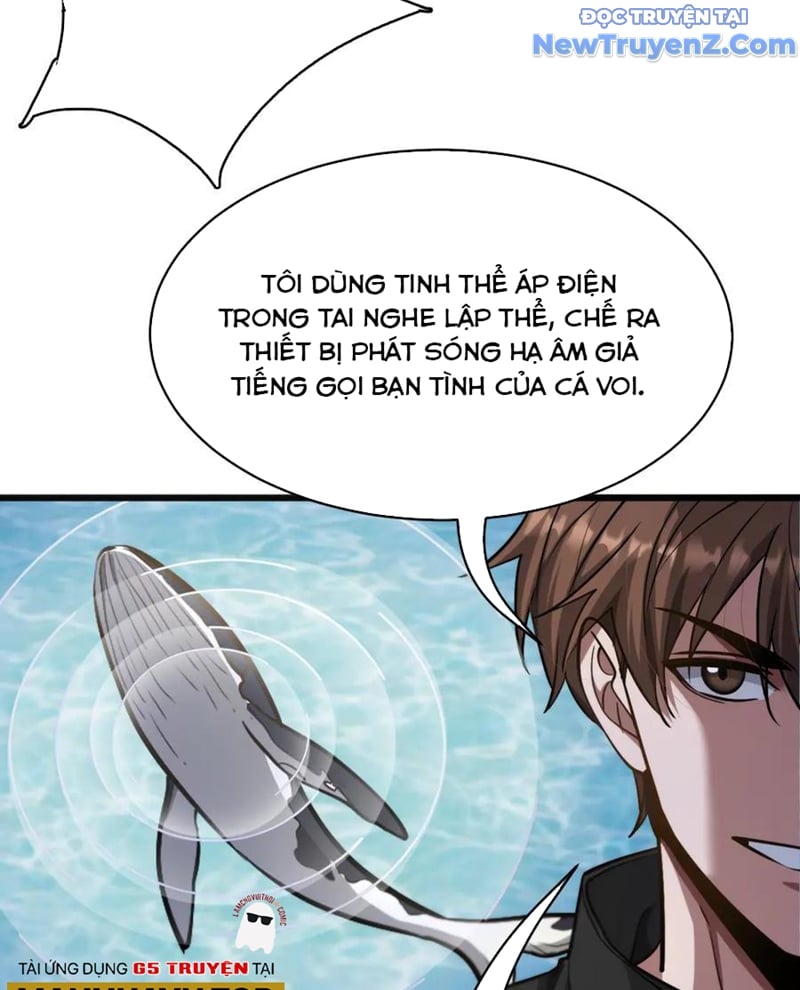 Chapter 181