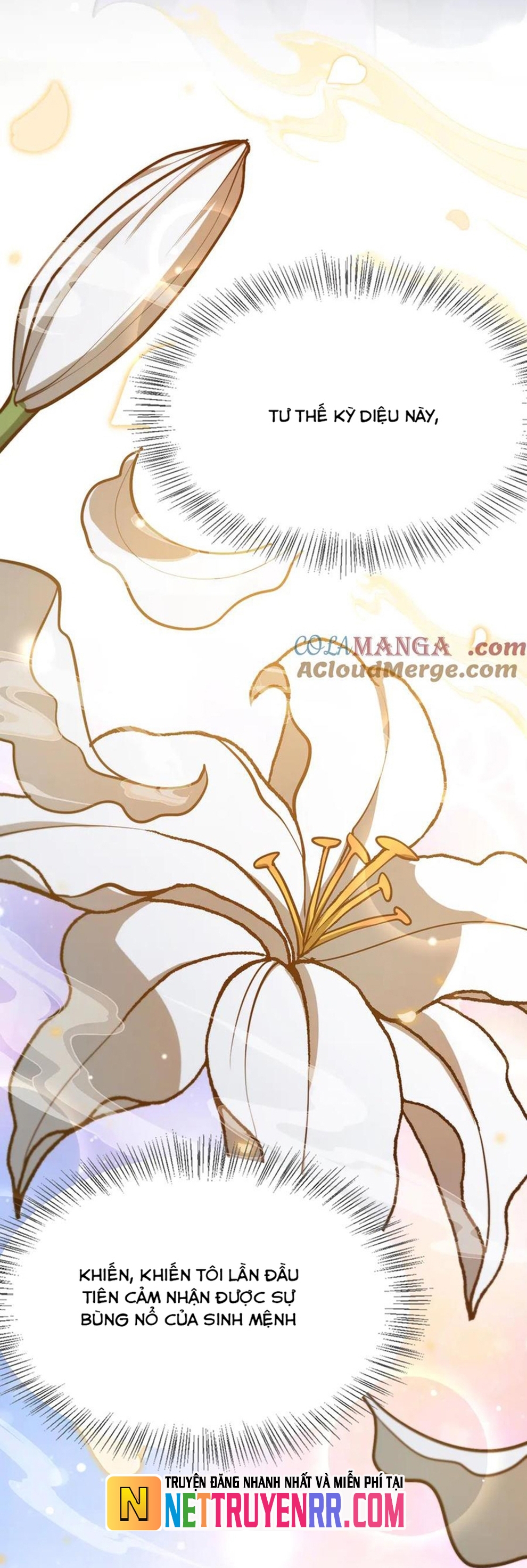 Chapter 193