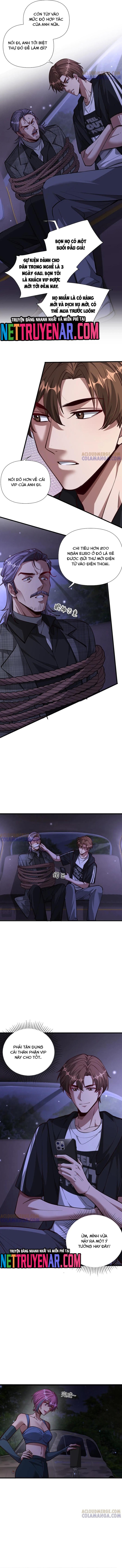 Chapter 203