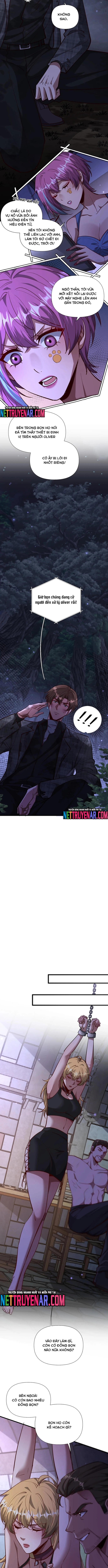 Chapter 204
